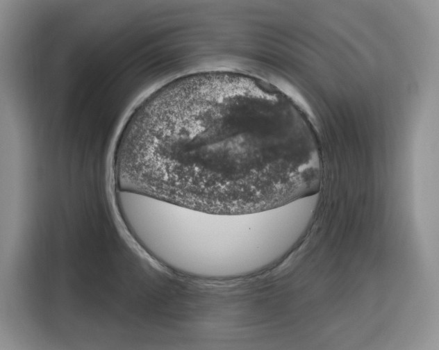 X0000115161088200911241544