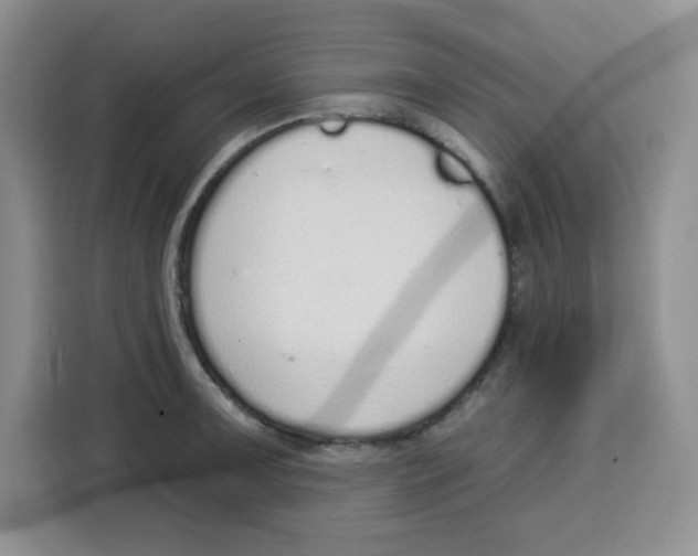 X0000115161091200911241544