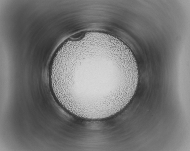 X0000115161092200911241544