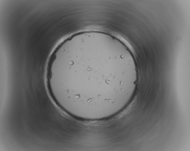 X0000115161093200911241544