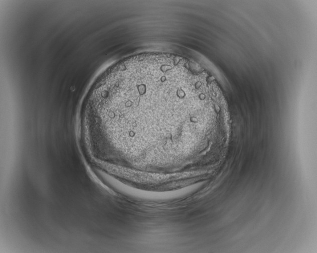 X0000115161095200911241544