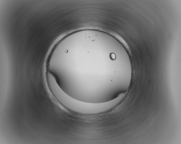 X0000115161096200911241544