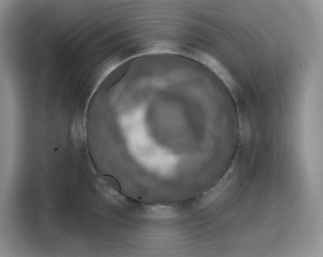 X0000115161097200911241544