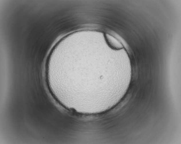 X0000115161099200911241544