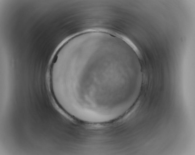 X0000115161100200911241544