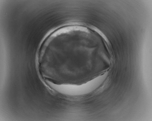 X0000115161101200911241544