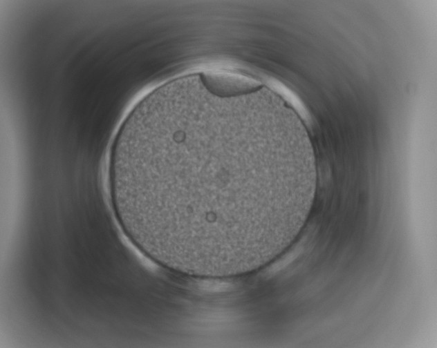 X0000115161103200911241544