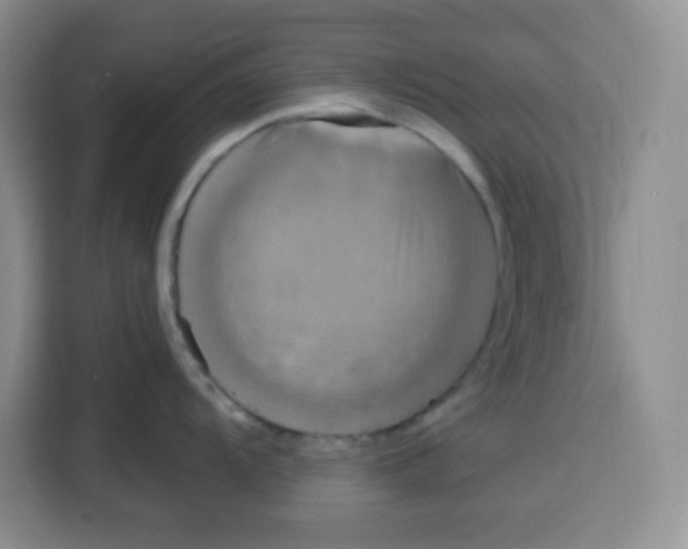 X0000115161104200911241544