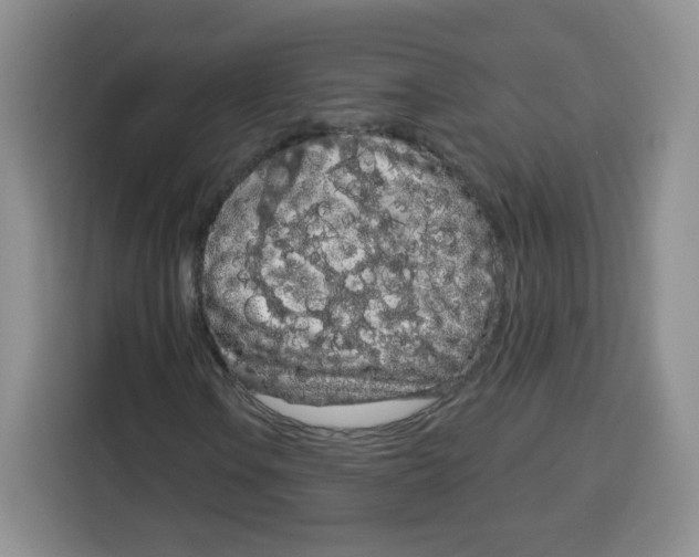 X0000115161106200911241543