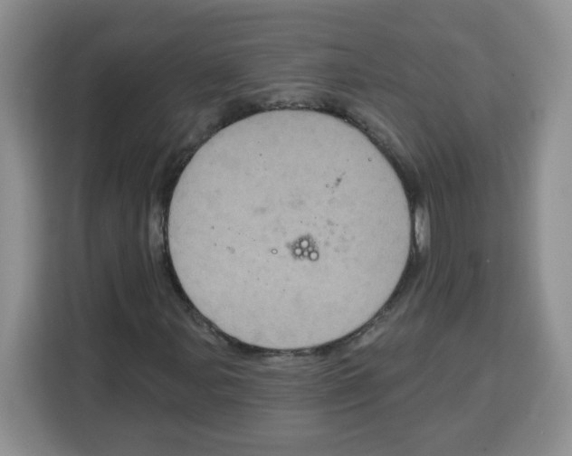 X0000115161107200911241543