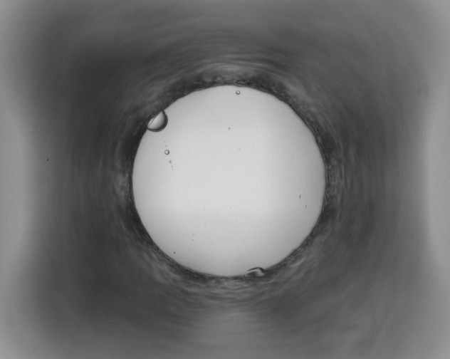 X0000115161109200911241543