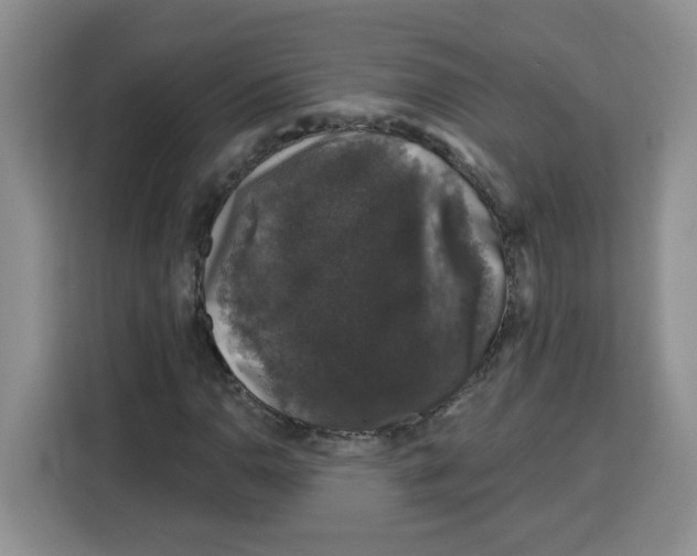 X0000115161110200911241543