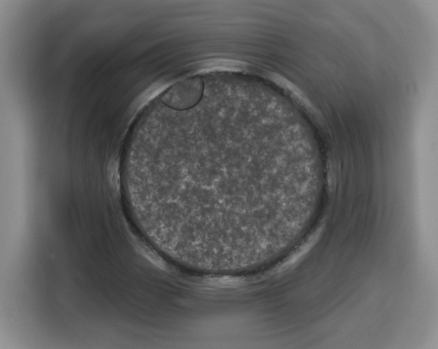 X0000115161113200911241543