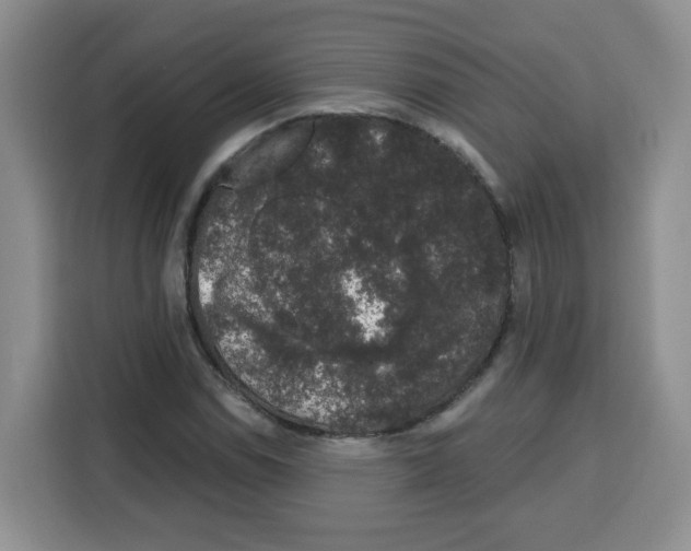 X0000115161114200911241543