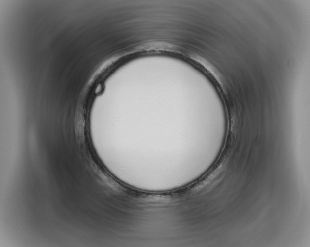 X0000115161115200911241543