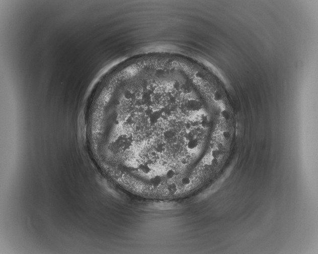 X0000115161117200911241543