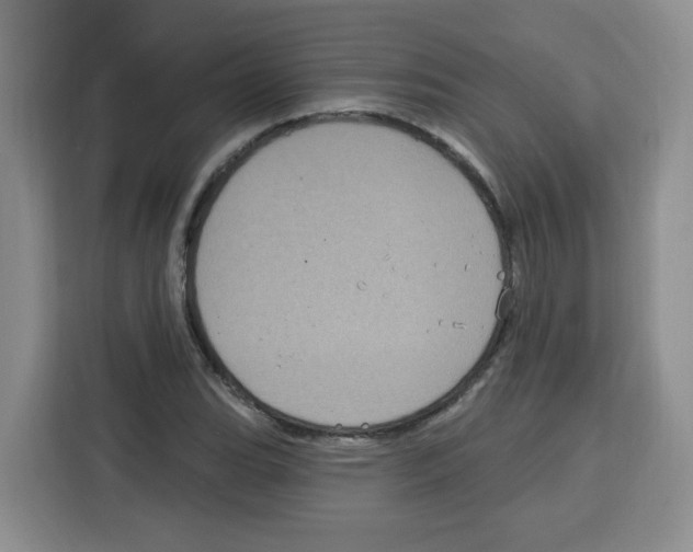 X0000115161119200911241543