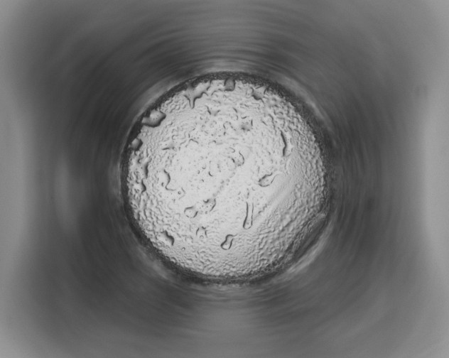 X0000115161121200911241543