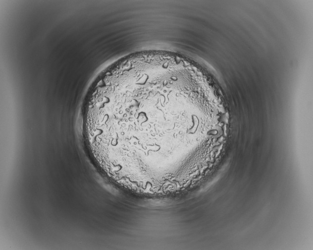 X0000115161125200911241543