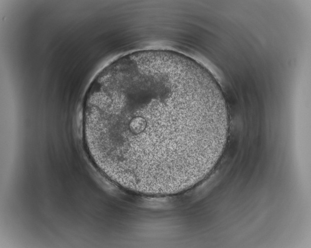 X0000115161126200911241543