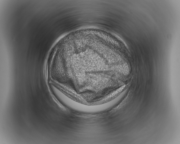 X0000115161127200911241543