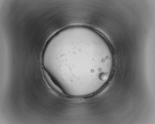 X0000115161129200911241543