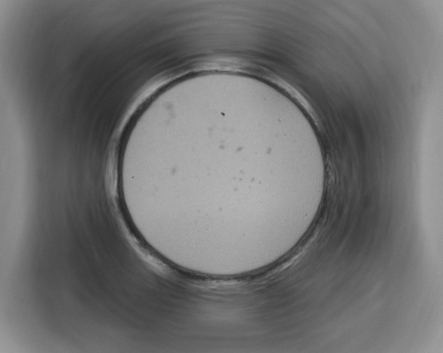 X0000115161131200911241543