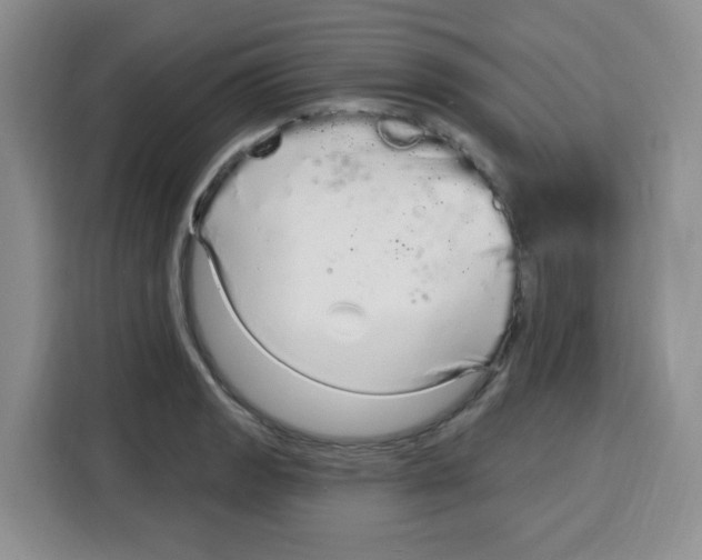 X0000115161133200911241543