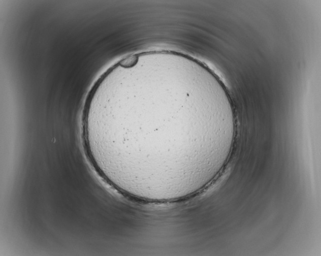 X0000115161134200911241543