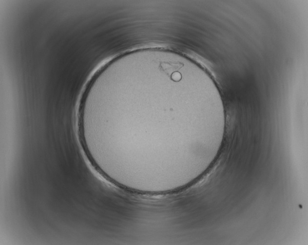 X0000115161135200911241543