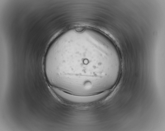 X0000115161137200911241544