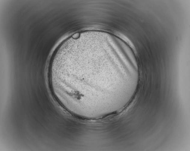 X0000115161138200911241544