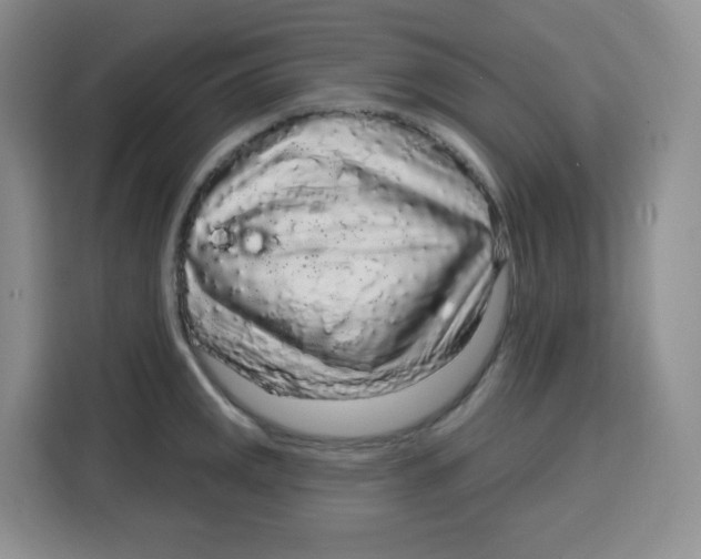 X0000115161141200911241544