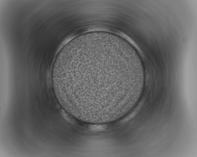 X0000115161145200911241544