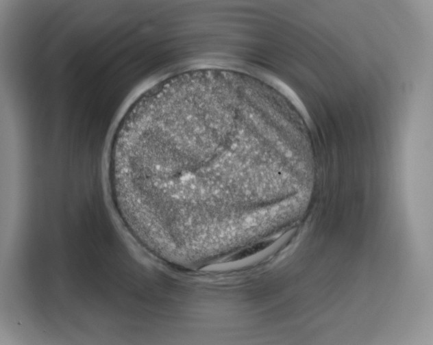 X0000115161146200911241544