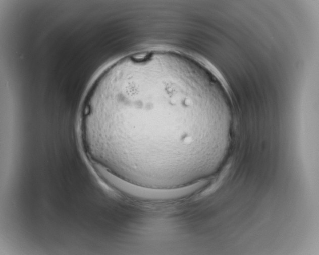 X0000115161149200911241544