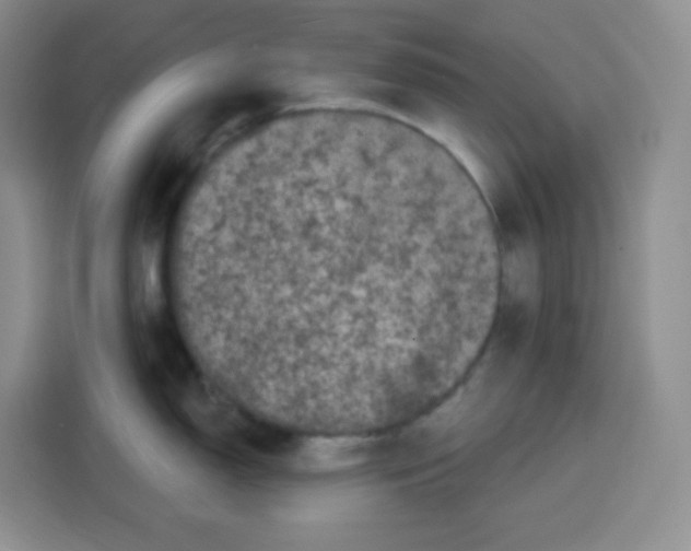 X0000115161150200911241544