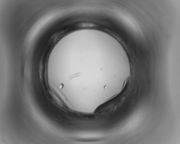 X0000115161151200911241544