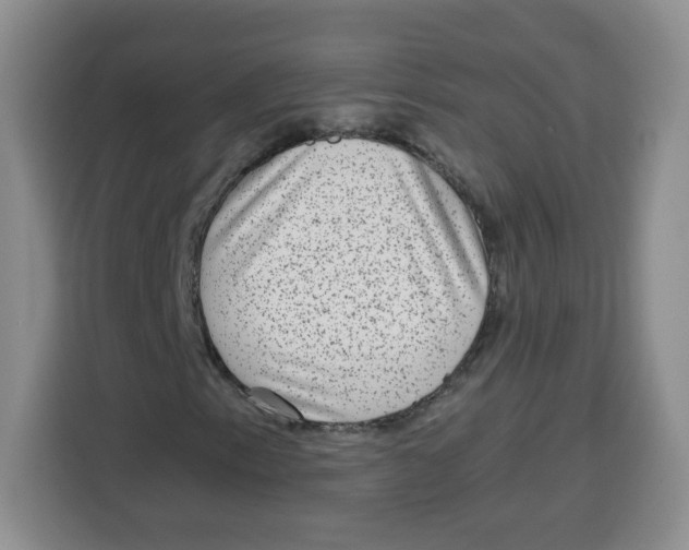 X0000115161153200911241543