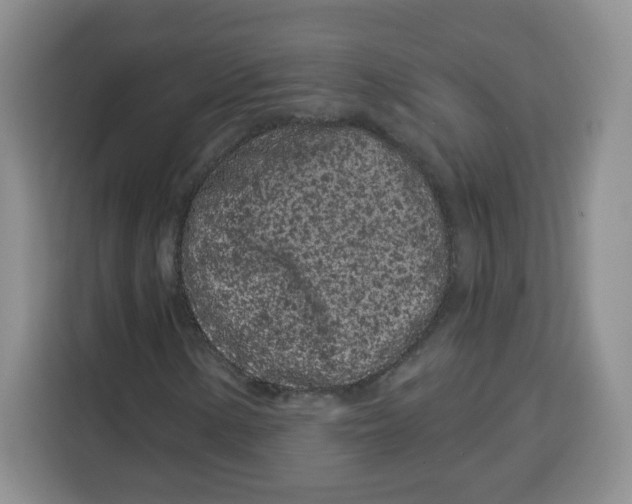 X0000115161154200911241543