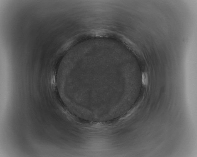 X0000115161155200911241543