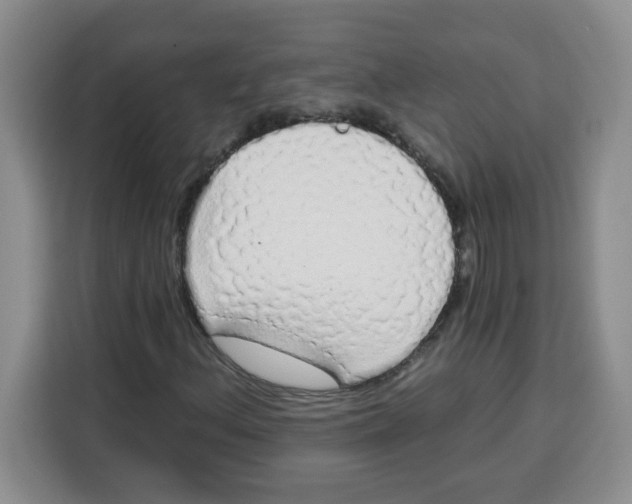 X0000115161156200911241543