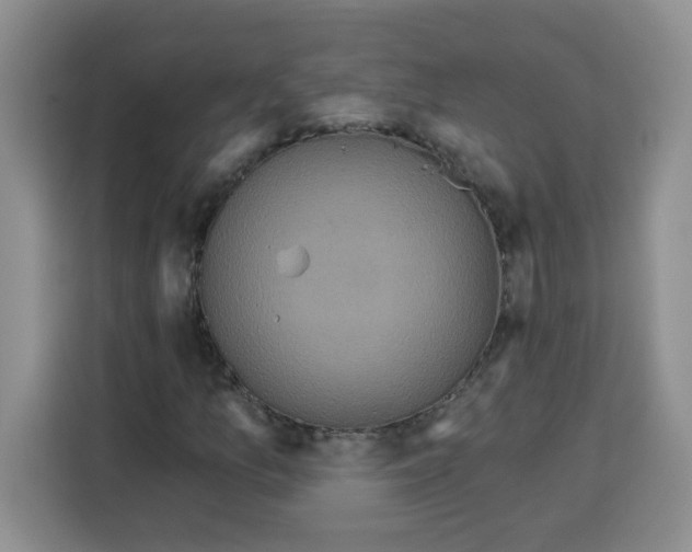 X0000115161157200911241543