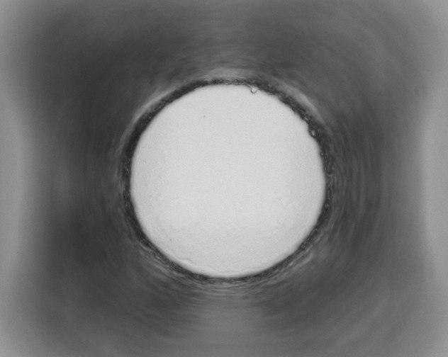 X0000115161160200911241543