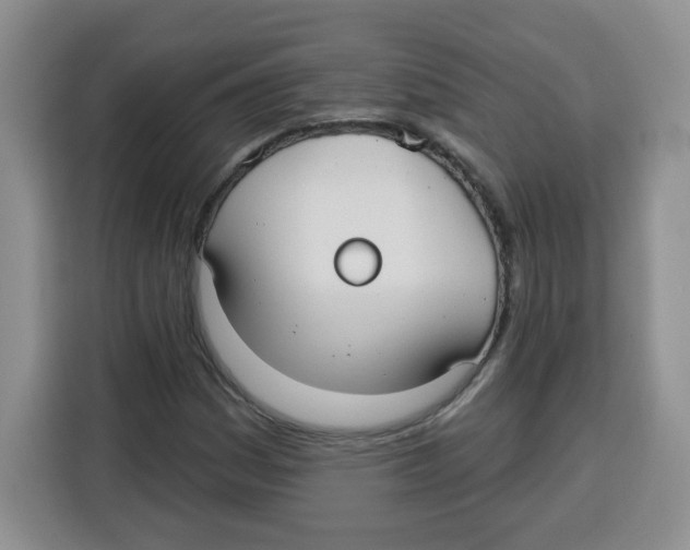 X0000115161161200911241543