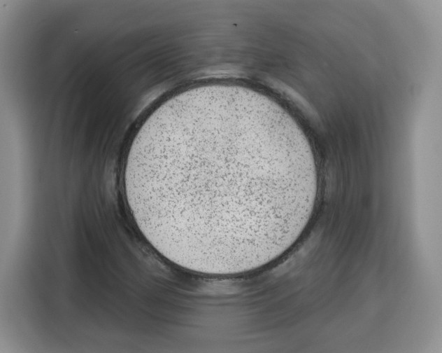 X0000115161162200911241543