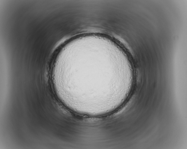 X0000115161163200911241543