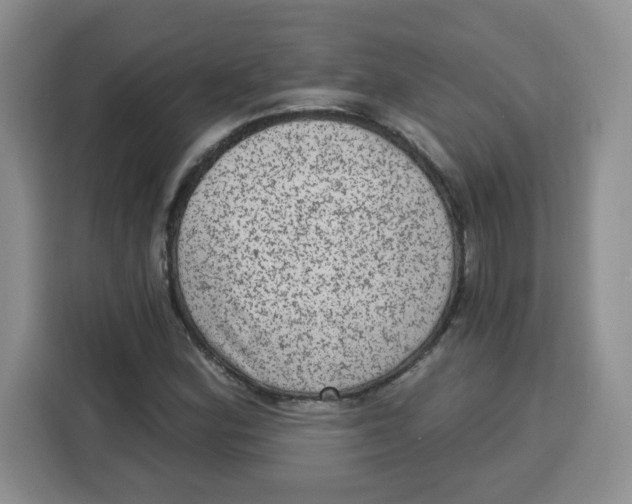 X0000115161164200911241543