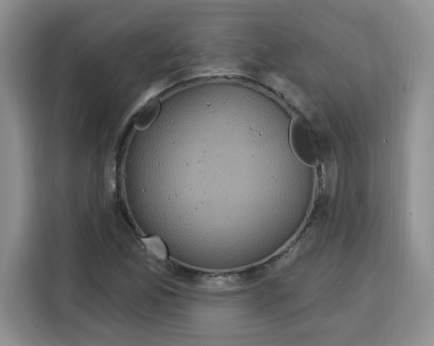 X0000115161165200911241543