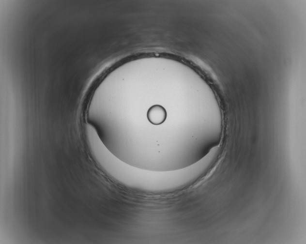 X0000115161167200911241543